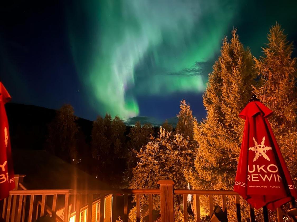Holland America Dawson City Inn Bagian luar foto